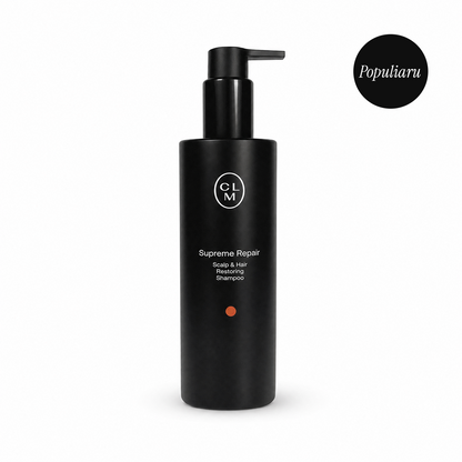 Atstatomasis šampūnas 250ml