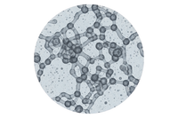 100–300 kDa Hialurono rūgštis