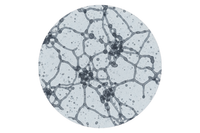 20–50 kDa Hialurono rūgštis